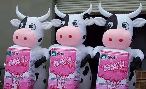 昭通牛奶厂广告气模